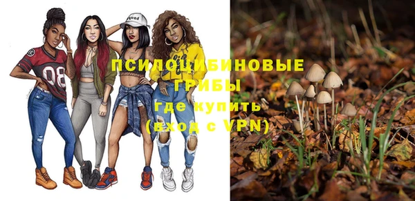 apvp Алзамай