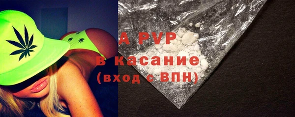 apvp Алзамай