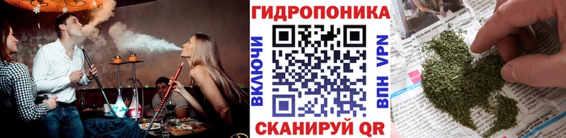 наркотики  маркетплейс клад  Бошки Шишки AK-47  Петрозаводск 